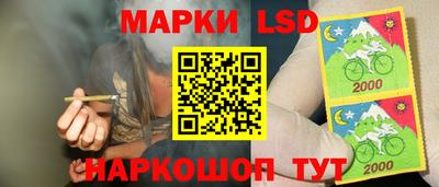 стаф Тара