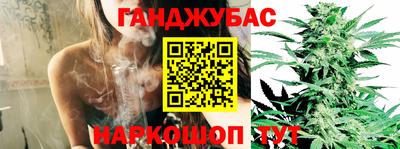 стаф Тара