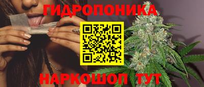 стаф Тара