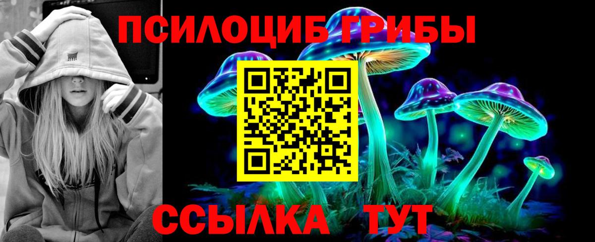 даркнет сайт  Псилоцибиновые грибы мицелий  Галлюциногенные грибы прущие грибы  Вход с VPN  Алейск 